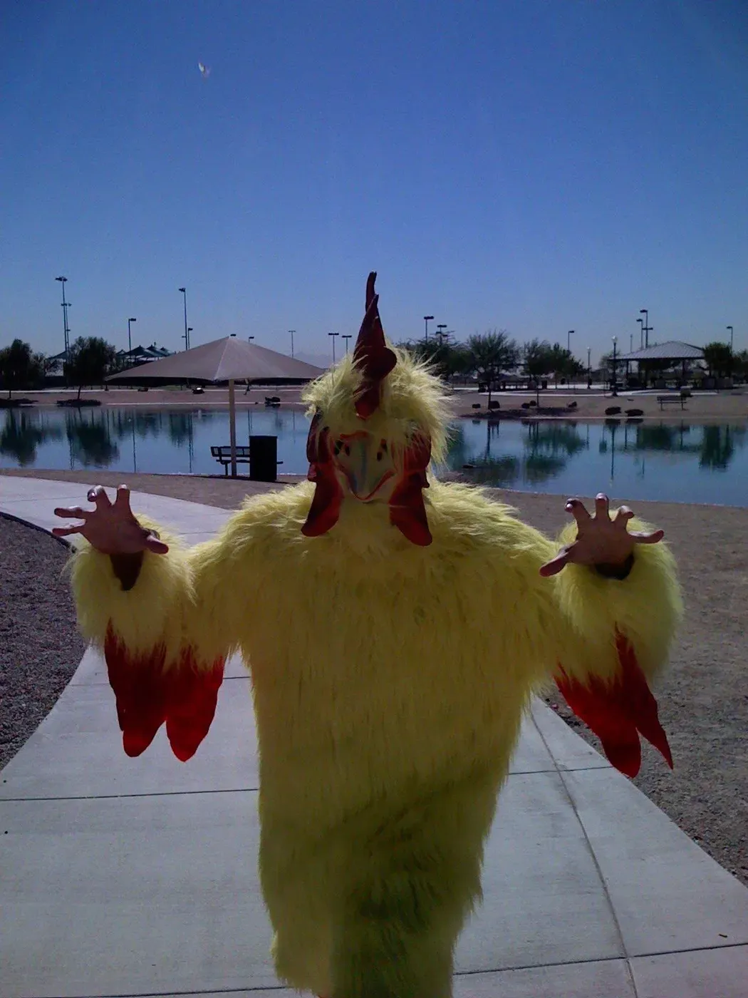 A person in a full yellow chicken costume standing on a path beside a retention pond in Surprise, Arizona, arms outstretched, promoting an AT&T store